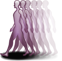 Flash Animation